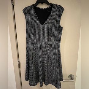 Ann Taylor Navy Blue and White Dot Dress